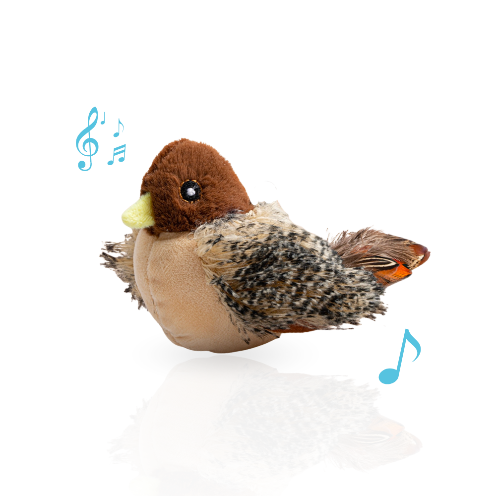 Jouet interactif pour chat en mouvement & jouet qui pépie, rechargeable par USB