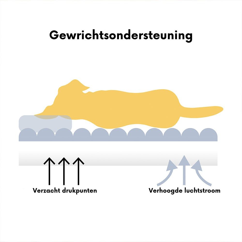 Grand coussin orthopédique lavable et doux pour chien Canapé pour chien-Snoozy Dream