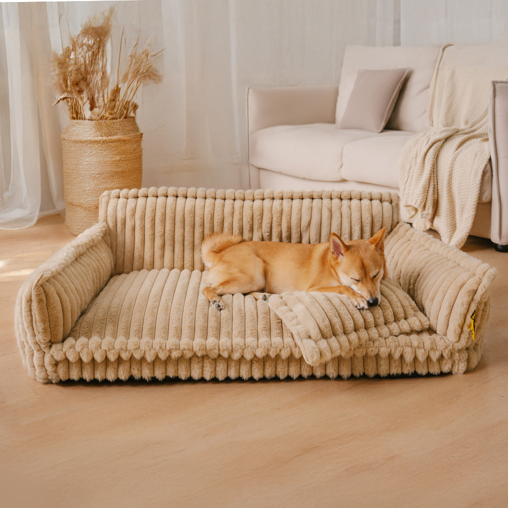 Grand coussin orthopédique lavable et doux pour chien Canapé pour chien-Snoozy Dream